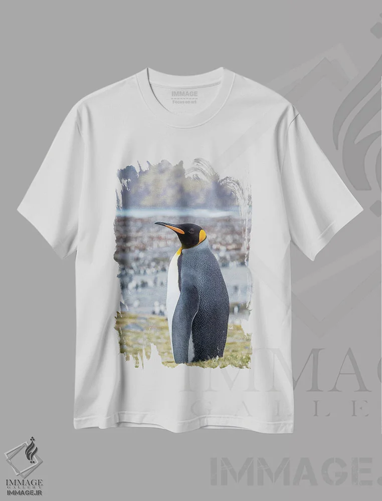 تیشرت سفید طرح دار – تیشرت طبیعت ,کلونی پنگوئن شاهی در خلیج سنت اندروز. جزیره جورجیای جنوبی اثر مارتین زویک immage.ir