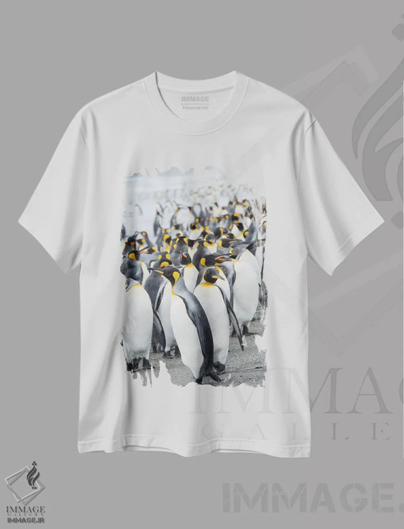 تیشرت سفید طرح دار – تیشرت حیوانات ,کلونی پنگوئن شاهی در دشت سالزبری در خلیج جزایر. جزیره جورجیای جنوبی اثر مارتین زویک فروشگاه ایماژ