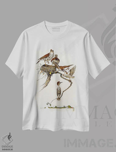 تیشرت سفید طرح دار آثار نورمن راکول - immage.ir