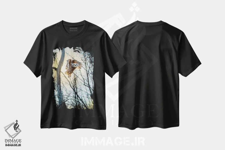 تیشرت مشکی طرح دار جغد در حال پرواز از میان جنگل زیر نور خورشید، مدیوم اثر نیک ریو | فروشگاه ایماژ
