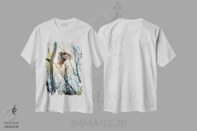 تیشرت سفید طرح دار جغد در حال پرواز از میان جنگل زیر نور خورشید، مدیوم اثر نیک ریو | immage.ir