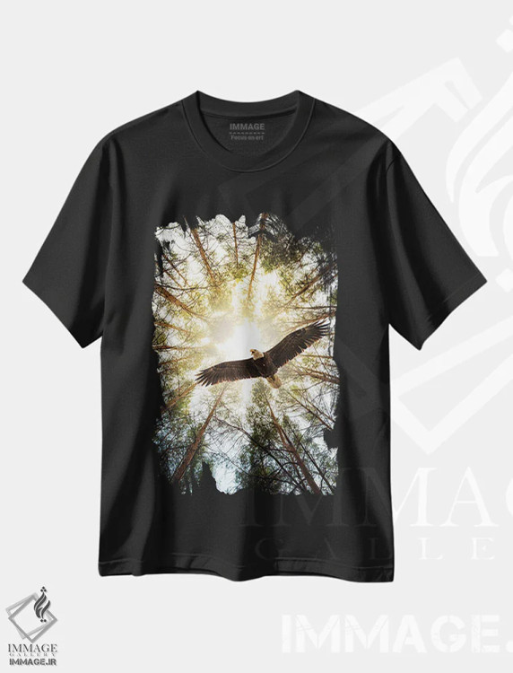 تیشرت مشکی طرح دار عقاب جسور استاد آسمان، مدیوم اثر نیک ریو | فروشگاه ایماژ