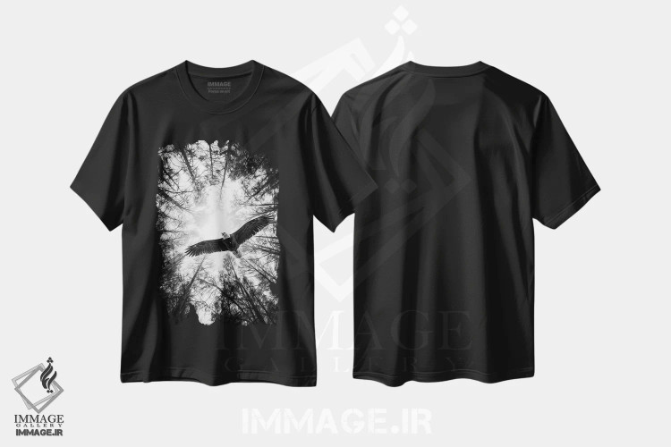 تیشرت مشکی طرح دار عقاب جسور استاد آسمان، عکاسی سیاه و سفید اثر نیک ریو | immage.ir
