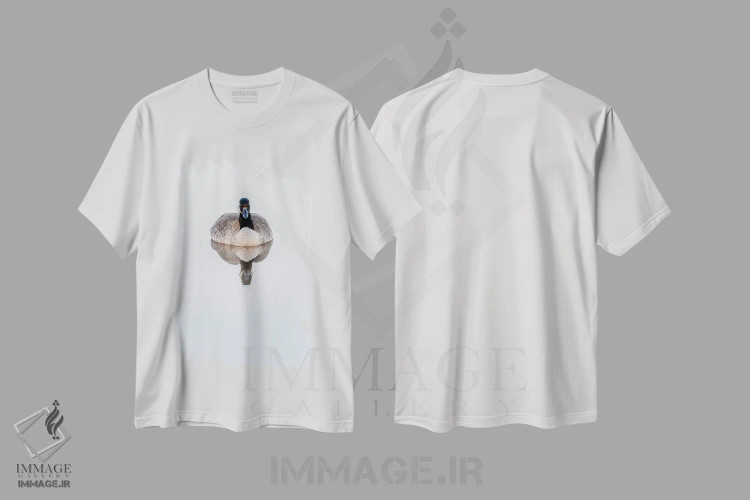 تیشرت سفید طرح دار غاز در رؤیاهای آب های آرام، مدیوم اثر نیک ریو | immage.ir