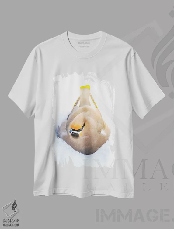 تیشرت سفید طرح دار آشیانه ساختن در برف: پرندهٔ زیبا، مدیوم اثر نیک ریو | immage.ir