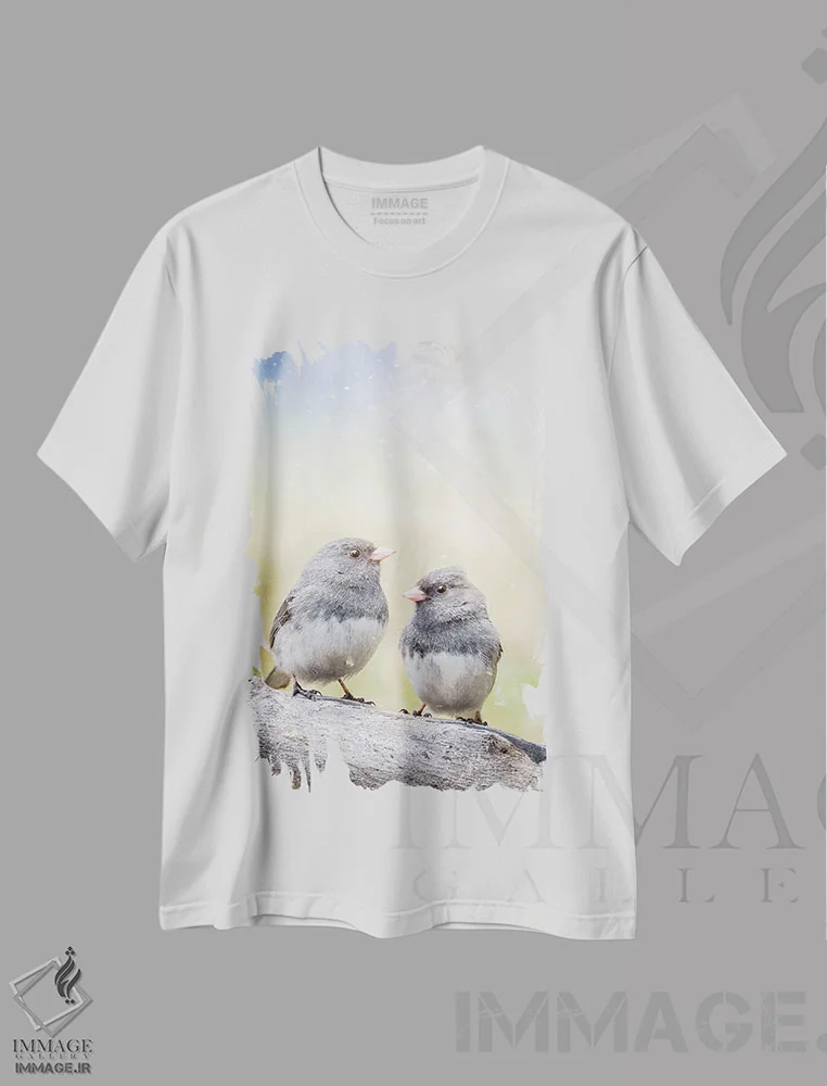 تیشرت سفید طرح دار دو پرنده روی نیمکت، مدیوم اثر نیک ریو | immage.ir