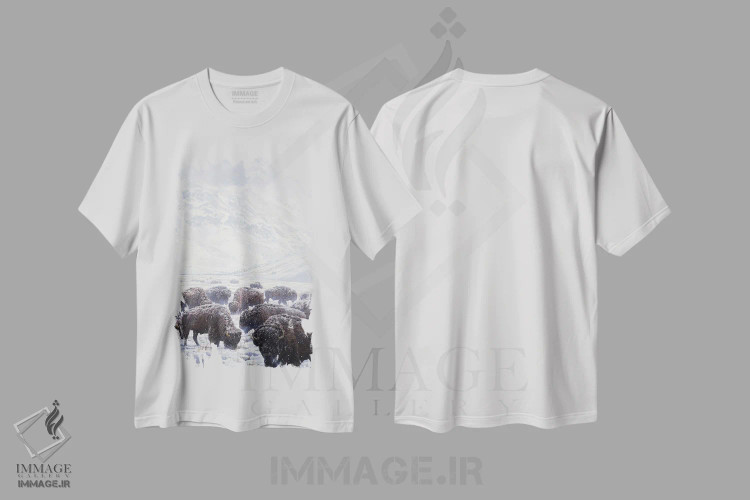 تیشرت سفید طرح دار گاومیش علف خوار زمستانی، هنر فاخر معاصر اثر جان سیری-لستر | فروشگاه ایماژ