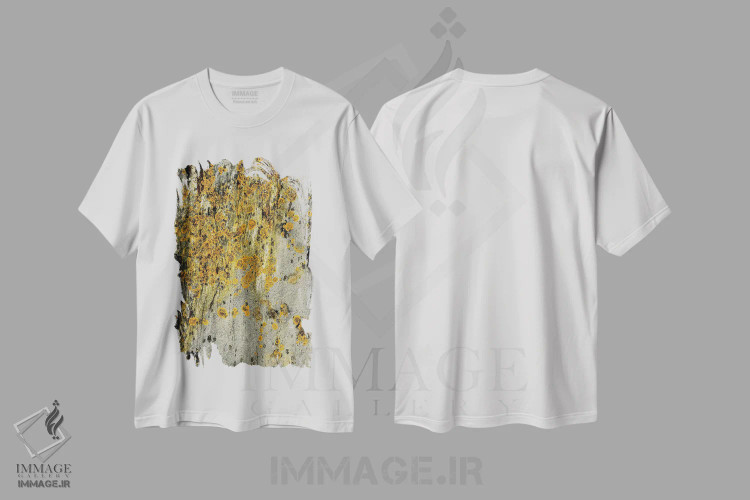 تیشرت سفید طرح دار گلسنگ روی سنگ، مدیوم اثر اولیویا جوی سنت کلر | immage.ir