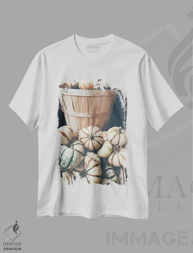 تیشرت سفید طرح دار کدو تنبل روستایی I، دکور روستایی اثر اولیویا جوی سنت کلر | فروشگاه ایماژ