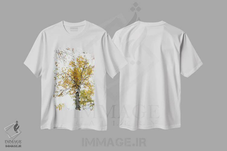 تیشرت سفید طرح دار درخت توس زرد پاییزی، مدیوم اثر اولیویا جوی سنت کلر | فروشگاه ایماژ