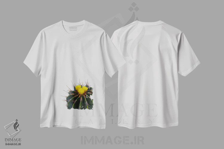 تیشرت سفید طرح دار گل کاکتوس، دکور بوهمی اثر اورارا استودیو | immage.ir