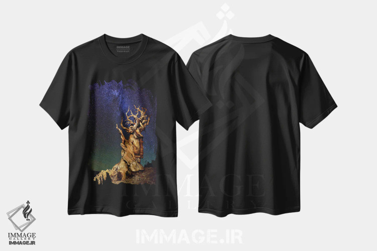 تیشرت مشکی طرح دار کاج بریستلکون، مدیوم اثر تانیا غیراردینی | immage.ir