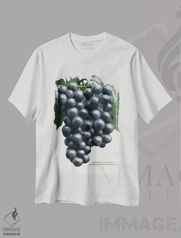 تیشرت سفید طرح دار چاپ لیتوگرافی انگور اولیه کمپبل، تزئینی اثر نمونه گیاهی راچستر | فروشگاه ایماژ