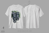 تیشرت سفید طرح دار چاپ لیتوگرافی انگور اولیه کمپبل، تزئینی اثر نمونه گیاهی راچستر | فروشگاه ایماژ