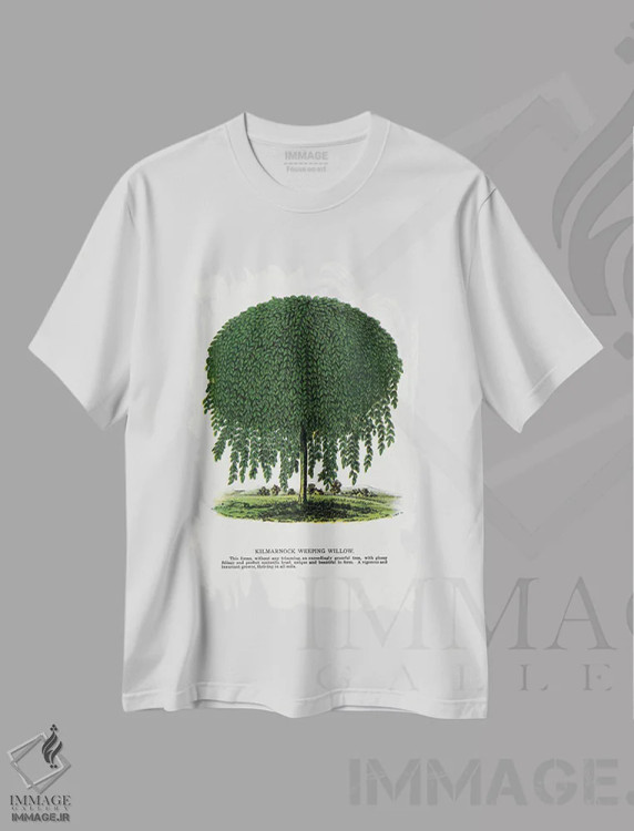 تیشرت سفید طرح دار چاپ لیتوگرافی درخت بید اشک آور کیل مارناک، تزئینی اثر نمونه گیاهی راچستر | فروشگاه ایماژ