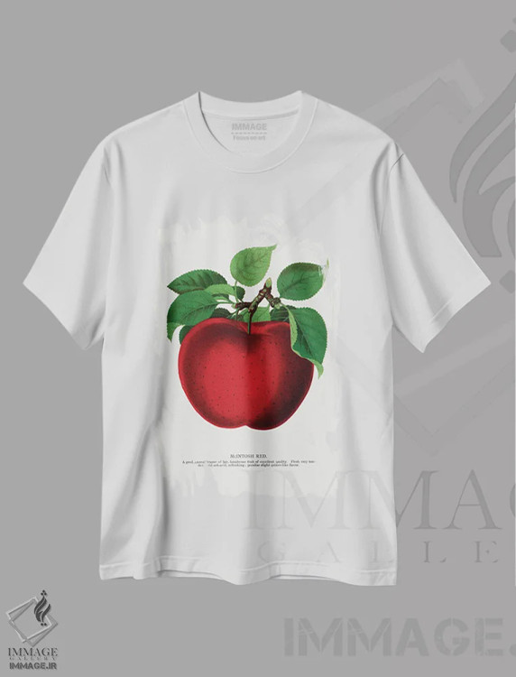 تیشرت سفید طرح دار چاپ لیتوگرافی سیب قرمز مکینتاش، تزئینی اثر نمونه گیاهی راچستر | immage.ir
