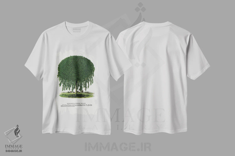 تیشرت سفید طرح دار چاپ لیتوگرافی درخت بید اشک آور کیل مارناک، تزئینی اثر نمونه گیاهی راچستر | فروشگاه ایماژ