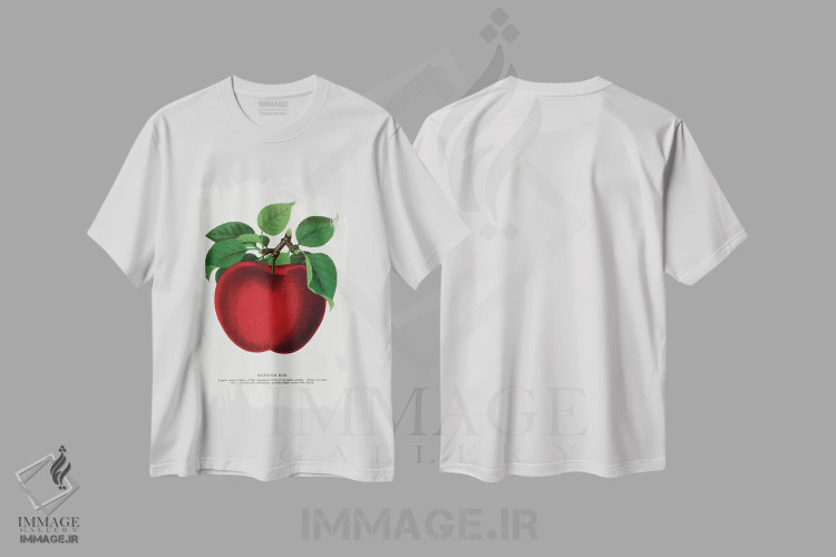 تیشرت سفید طرح دار چاپ لیتوگرافی سیب قرمز مکینتاش، تزئینی اثر نمونه گیاهی راچستر | immage.ir