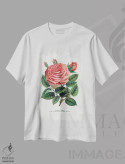 تیشرت سفید طرح دار چاپ لیتوگرافی گل سرخ صورتی گلوریا دی دیژون، تزئینی اثر نمونه گیاهی راچستر | immage.ir