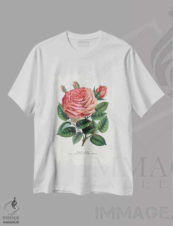 تیشرت سفید طرح دار چاپ لیتوگرافی گل سرخ صورتی گلوریا دی دیژون، تزئینی اثر نمونه گیاهی راچستر | immage.ir