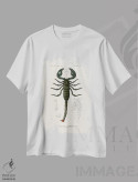 تیشرت سفید طرح دار عنکبوت امپراتور، دکوراسیون جایگزین اثر شارل دسالین د... | immage.ir