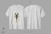 تیشرت سفید طرح دار عنکبوت امپراتور، دکوراسیون جایگزین اثر شارل دسالین د... | immage.ir