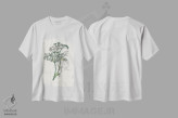تیشرت سفید طرح دار رازیانه کوهیطب گیاهی، تزئینی اثر جان استیونسون | immage.ir