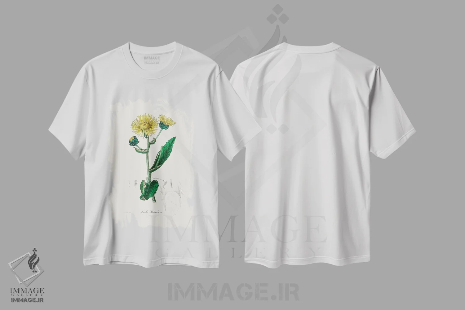 تیشرت سفید طرح دار الکمپانطب گیاهی، تزئینی اثر جان استیونسون | immage.ir