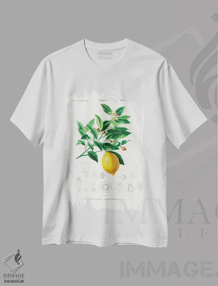 تیشرت سفید طرح دار لیمو، تزئینی اثر شارل دسالین د... | immage.ir