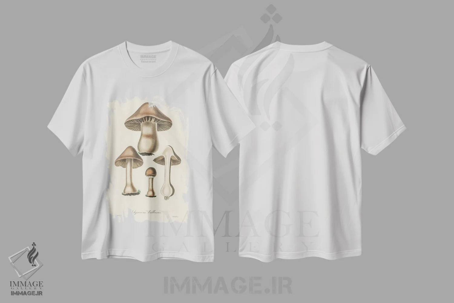 تیشرت سفید طرح دار تصویر آگاریکوس بولبوسوس. گیاه شناسی پزشکی ۱۸۳۶، تزئینی اثر جان استیونسون | immage.ir