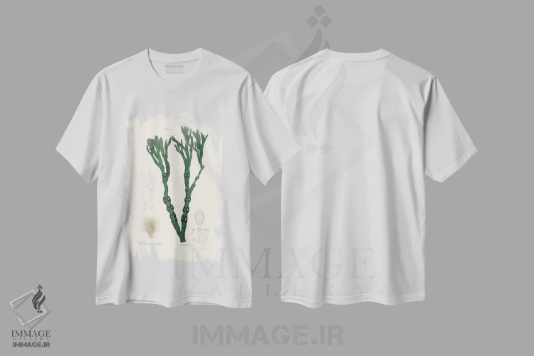 تیشرت سفید طرح دار جلبک مثانه ای، گیاه شناسی پزشکی، تزئینی اثر جان استیونسون | فروشگاه ایماژ