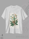 تیشرت سفید طرح دار گل کریسمس، گیاه شناسی پزشکی، تزئینی اثر جان استیونسون | immage.ir