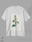 تیشرت سفید طرح دار مارشمالوی معمولی، گیاه شناسی پزشکی، تزئینی اثر جان استیونسون | فروشگاه ایماژ