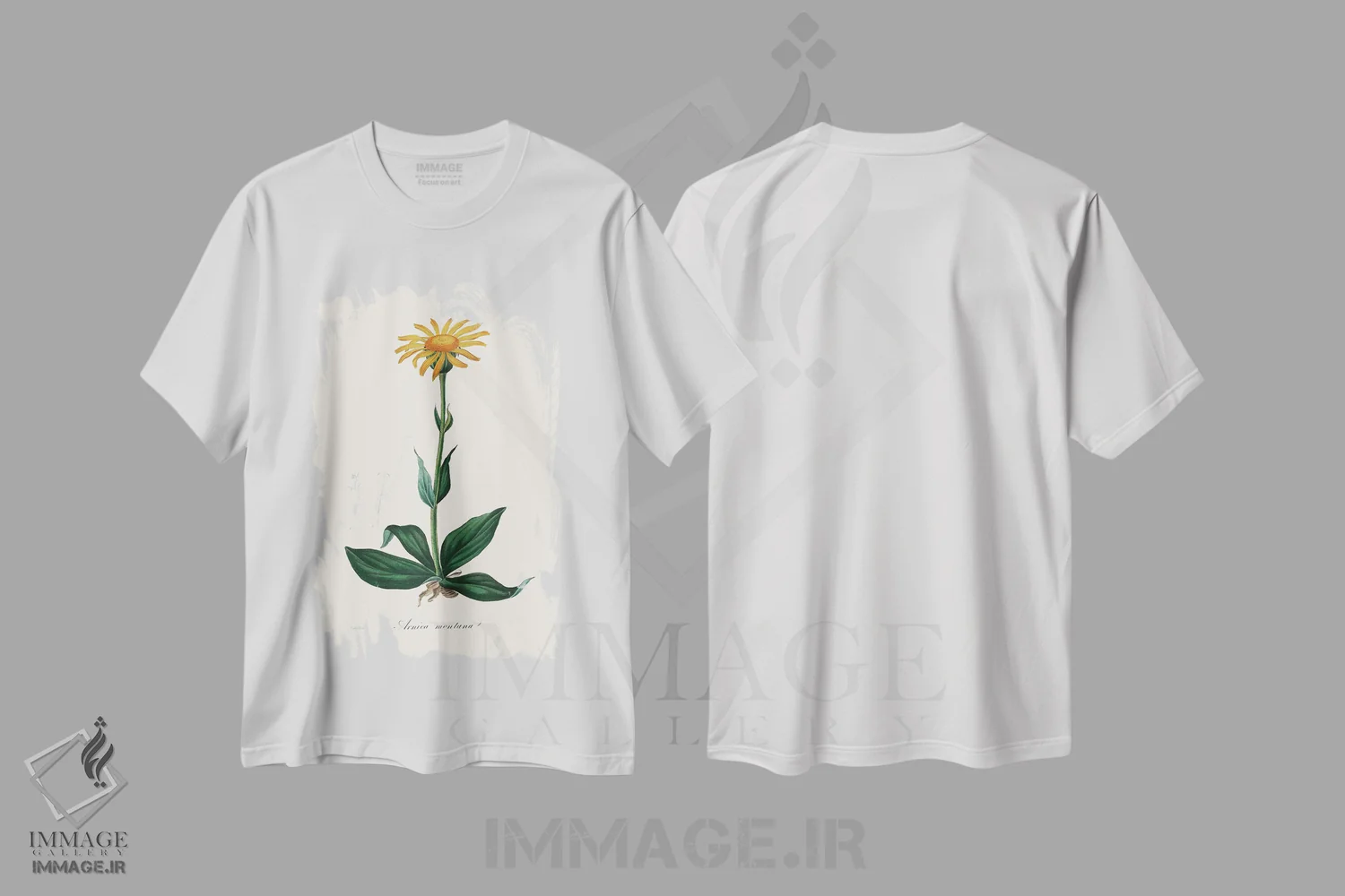 تیشرت سفید طرح دار آرنیکای کوهستانی، گیاه شناسی پزشکی، تزئینی اثر جان استیونسون | immage.ir