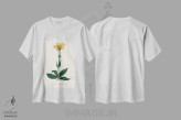 تیشرت سفید طرح دار آرنیکای کوهستانی، گیاه شناسی پزشکی، تزئینی اثر جان استیونسون | immage.ir