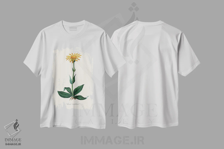 تیشرت سفید طرح دار آرنیکای کوهستانی، گیاه شناسی پزشکی، تزئینی اثر جان استیونسون | immage.ir