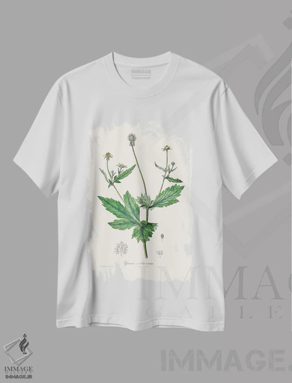تیشرت سفید طرح دار چوب آونز، گیاه شناسی پزشکی، تزئینی اثر جان استیونسون | immage.ir