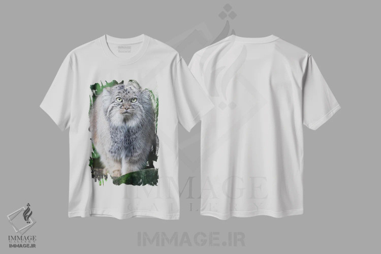 تیشرت سفید طرح دار – تیشرت گربه ,مسابقه خیره شدن با گربه پالاس اثر پاتریک ون بکم فروشگاه ایماژ