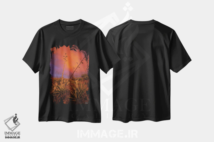 تیشرت مشکی طرح دار صلح در هرج و مرج، مدیوم اثر پیتر کسکن | فروشگاه ایماژ