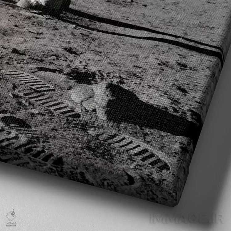 تابلو نیل آرمسترانگ در حال نصب پرچم آمریکا روی ماه اثر ناسا (آژانس فضایی آمریکا) - نمای نزدیک بافت بوم