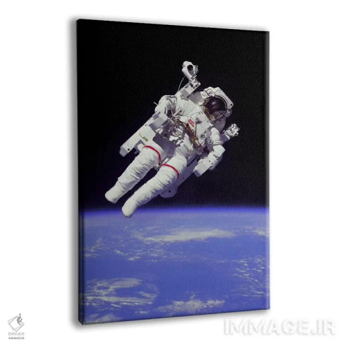 تابلو فضانورد ناسا اثر ناسا (آژانس فضایی آمریکا) - نمای پرسپکتیو محصول