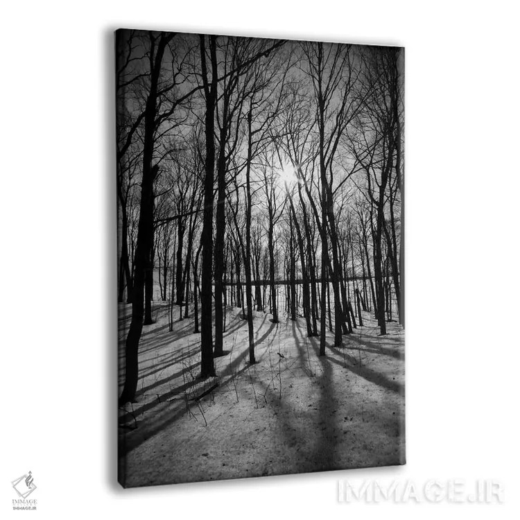 تابلو جنگل در مورین ریدجهای بلوط اثر هنرمند ناشناس - نمای پرسپکتیو محصول