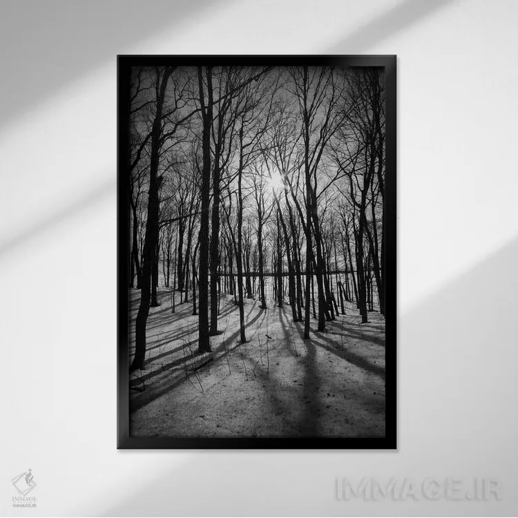 تابلو جنگل در مورین ریدجهای بلوط اثر هنرمند ناشناس - نمای قابدار مشکی