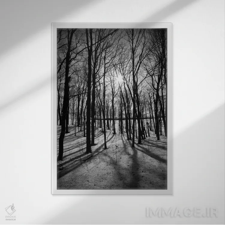 تابلو جنگل در مورین ریدجهای بلوط اثر هنرمند ناشناس - نمای قابدار سفید