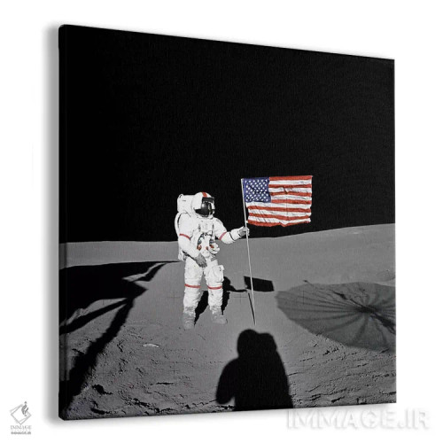 تابلو اپولو ۱۴ شپارد (فضانورد) اثر ناسا (آژانس فضایی آمریکا) - نمای پرسپکتیو محصول