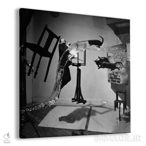 تابلو دالی اتومیکوس (عکس هنری معروف سالوادور دالی) اثر فیلیپ هالسمن - نمای پرسپکتیو محصول