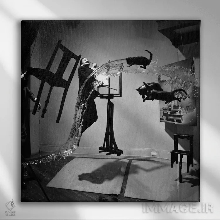 تابلو دالی اتومیکوس (عکس هنری معروف سالوادور دالی) اثر فیلیپ هالسمن - نمای روبهرو روی دیوار