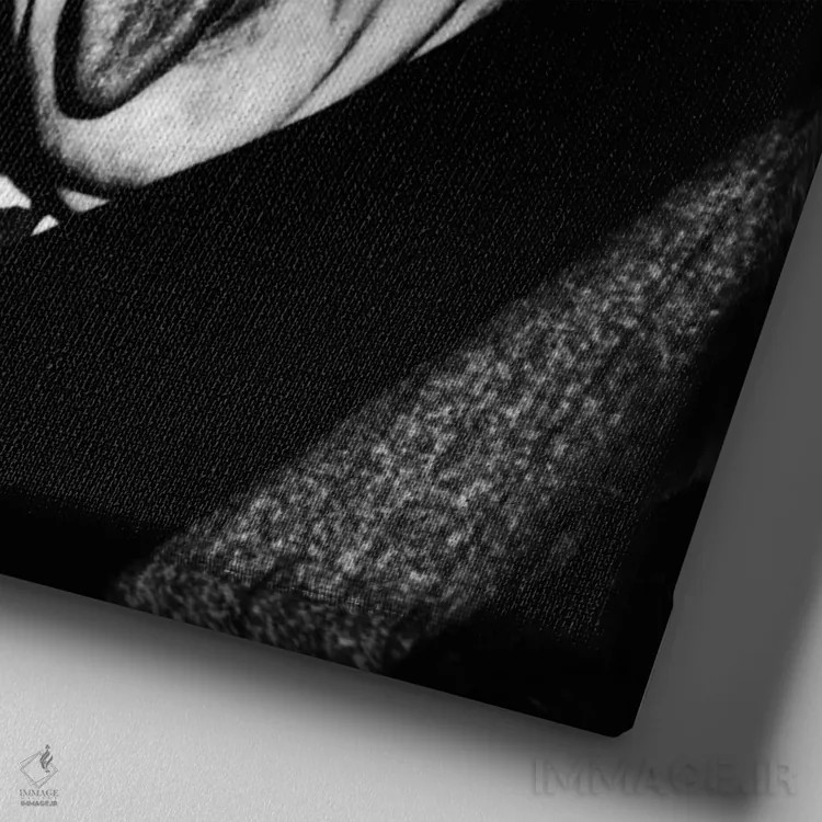 تابلو آلبرت اینشتین، زبان را بیرون آورده اثر آرتور ساس (عکاس) - نمای نزدیک بافت بوم