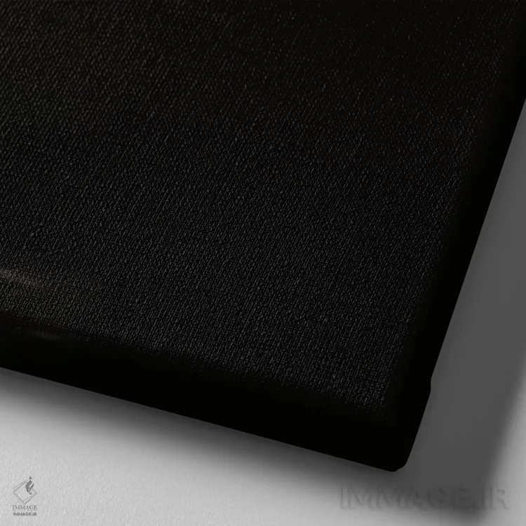 تابلو مدل مد زیر آب در آکواریوم دلفین (مارینلند فلوریدا) اثر تونی فریسل (عکاس زن آمریکایی) - نمای نزدیک بافت بوم