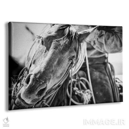 تابلو روح غرب اثر دن بالارد - نمای پرسپکتیو محصول